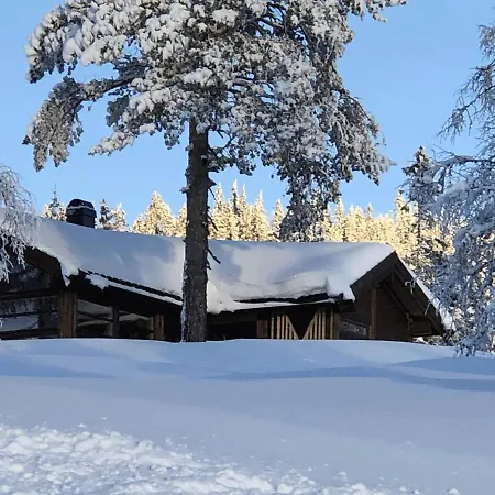 Skarehaug - Koselig Med 3 Soverom Holiday home *